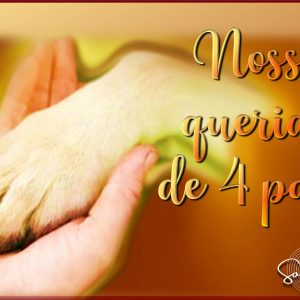 SÉRIE REENCONTRO 124: NOSSOS QUERIDOS DE QUATRO PATAS