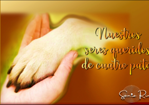 REENCUENTRO 124: NUESTROS SERES QUERIDOS DE CUATRO PATAS ) SPANISH)
